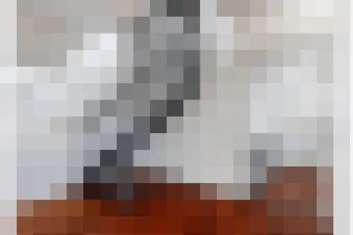 Antoniuslaan 13 Hendrik-Ido-Ambacht thumbnail 27