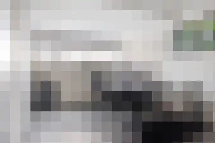 Antoniuslaan 13 Hendrik-Ido-Ambacht thumbnail 29