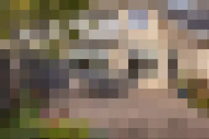 Antoniuslaan 13 Hendrik-Ido-Ambacht thumbnail 32