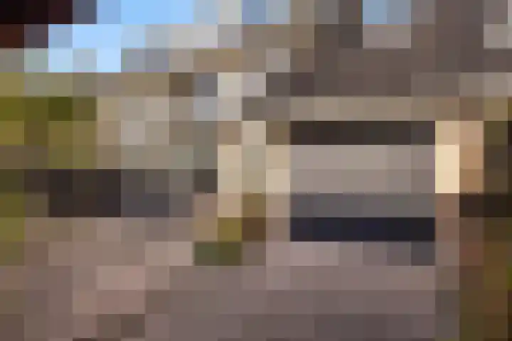 Antoniuslaan 13 Hendrik-Ido-Ambacht thumbnail 33