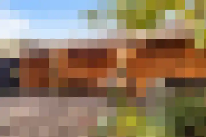 Antoniuslaan 13 Hendrik-Ido-Ambacht thumbnail 35