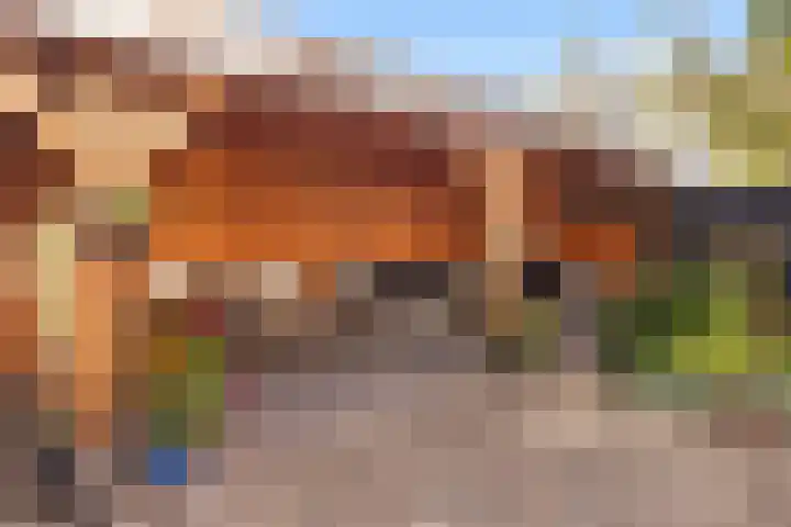 Antoniuslaan 13 Hendrik-Ido-Ambacht thumbnail 36