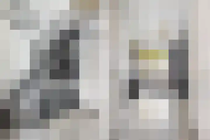 Antoniuslaan 13 Hendrik-Ido-Ambacht thumbnail 5
