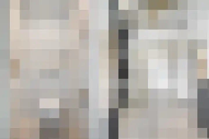 Antoniuslaan 13 Hendrik-Ido-Ambacht thumbnail 6
