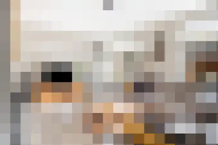 Antoniuslaan 13 Hendrik-Ido-Ambacht thumbnail 7