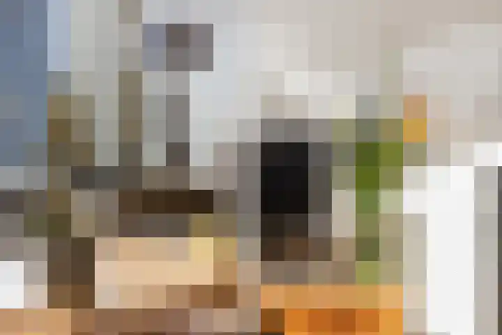 Antoniuslaan 13 Hendrik-Ido-Ambacht thumbnail 8