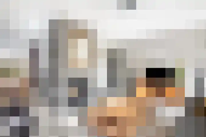 Antoniuslaan 13 Hendrik-Ido-Ambacht thumbnail 9