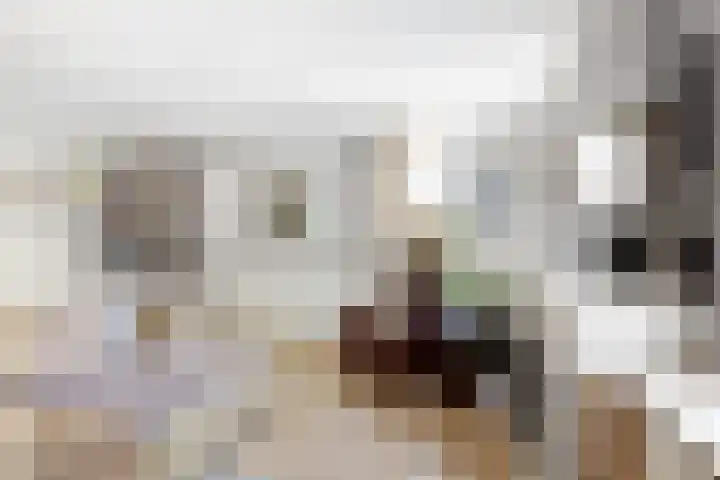 Antoniuslaan 29 Beuningen Gld thumbnail 10