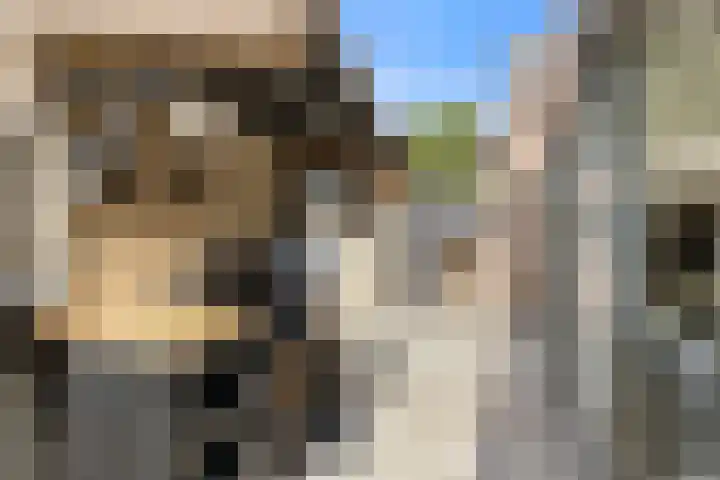 Antoniuslaan 29 Beuningen Gld thumbnail 22
