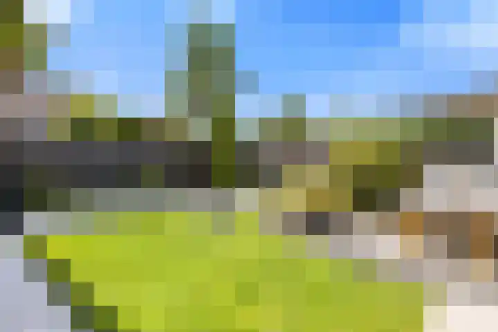 Antoniuslaan 29 Beuningen Gld thumbnail 23