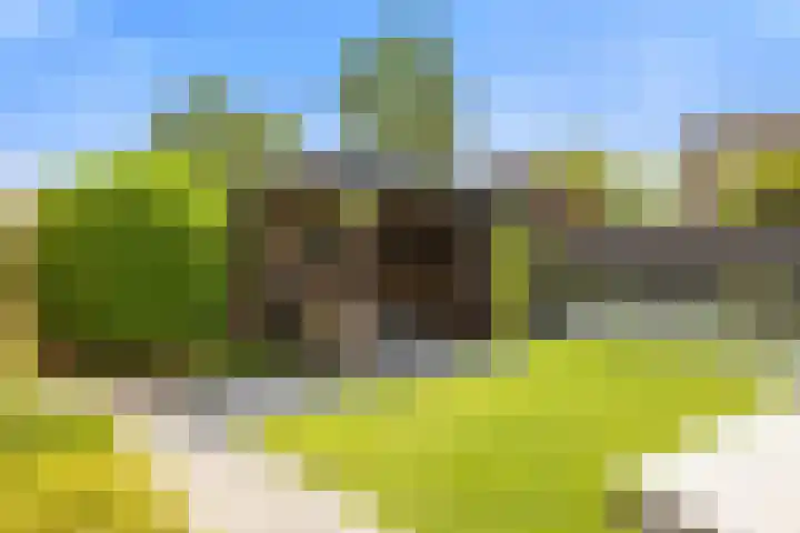 Antoniuslaan 29 Beuningen Gld thumbnail 24