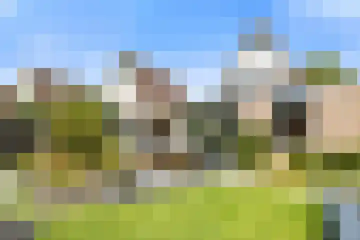 Antoniuslaan 29 Beuningen Gld thumbnail 29
