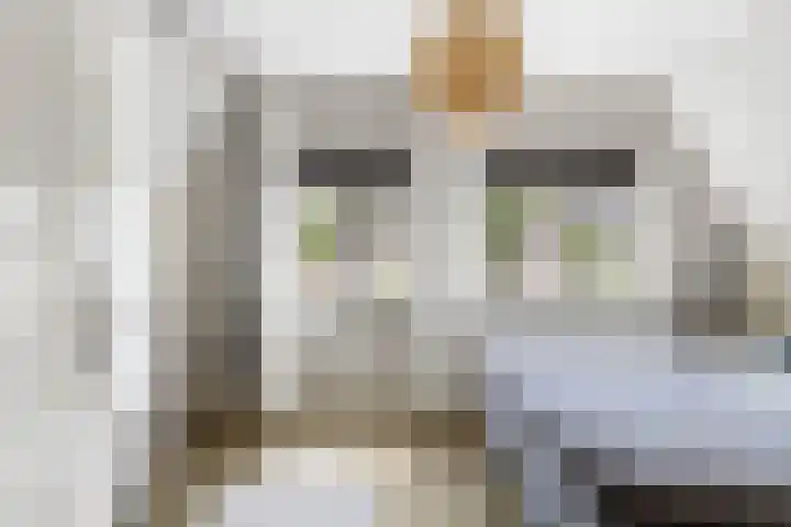 Antoniuslaan 29 Beuningen Gld thumbnail 33