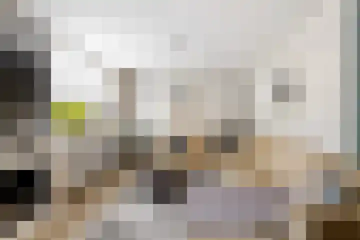 Antoniuslaan 29 Beuningen Gld thumbnail 9