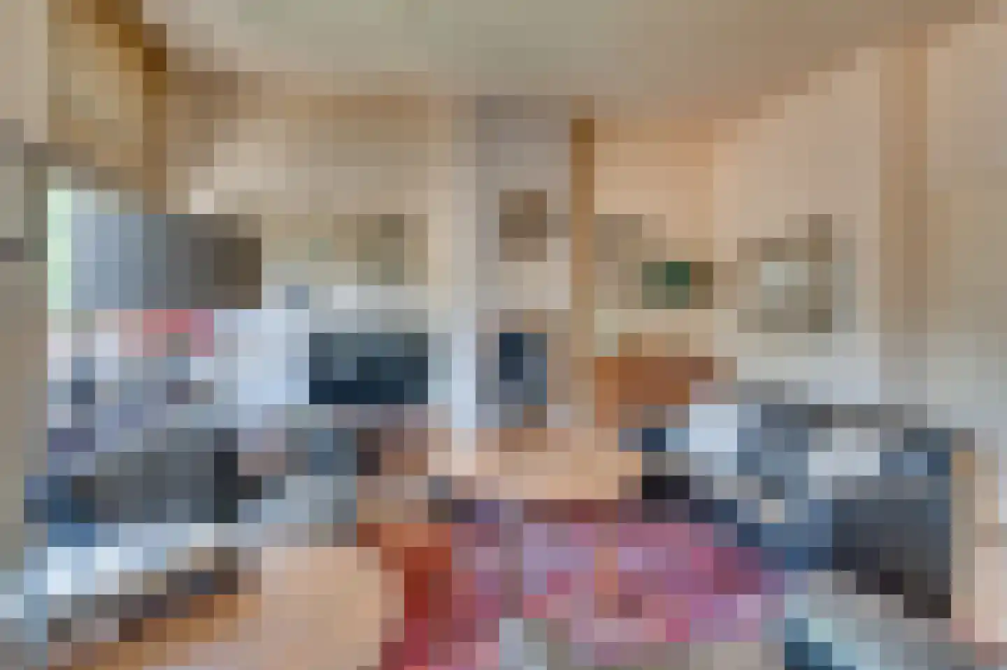 Antoniuslaan 30 A Venlo thumbnail 12