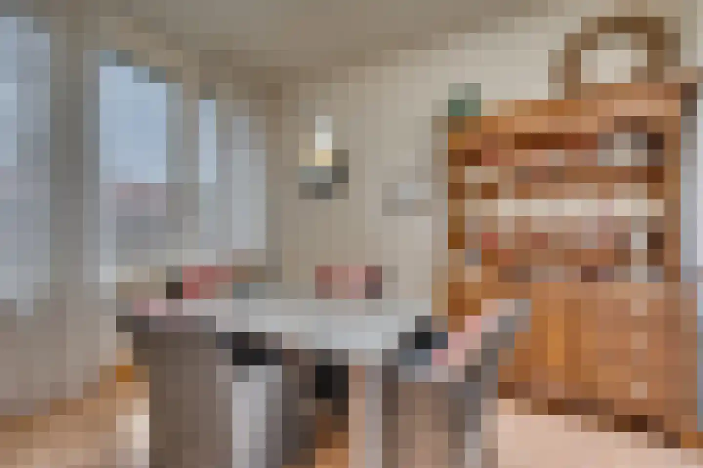 Antoniuslaan 30 A Venlo thumbnail 22