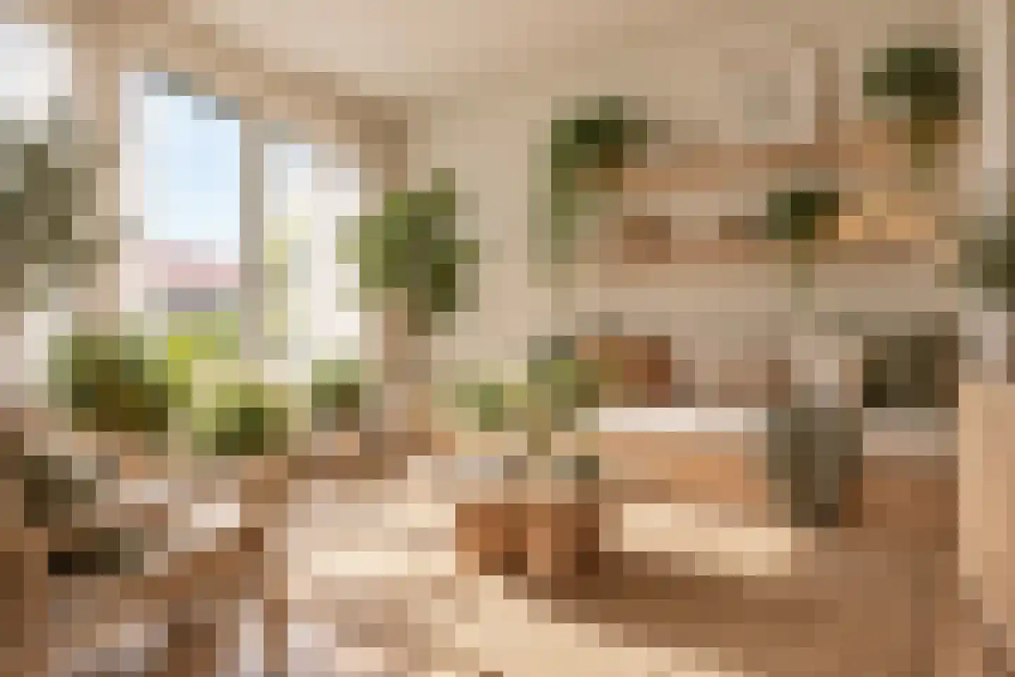 Antoniuslaan 30 A Venlo thumbnail 25