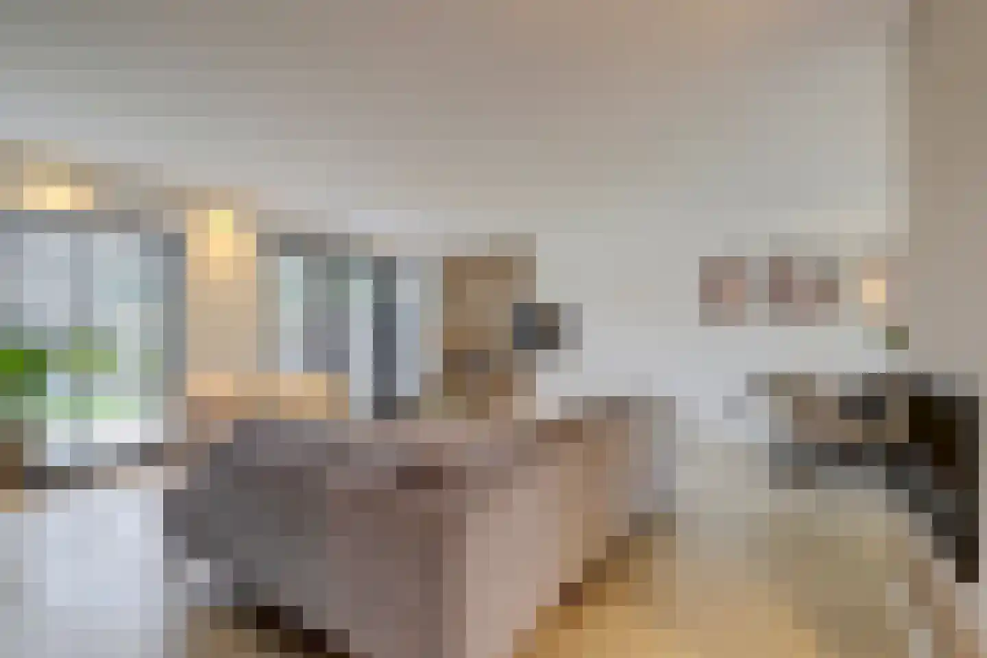 Antoniuslaan 33 Hendrik-Ido-Ambacht thumbnail 13
