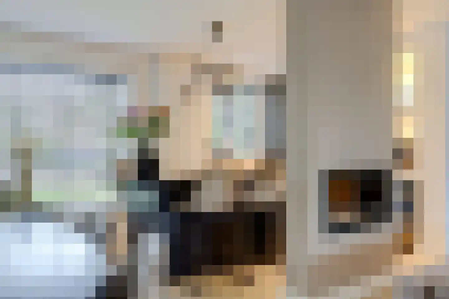 Antoniuslaan 33 Hendrik-Ido-Ambacht thumbnail 16