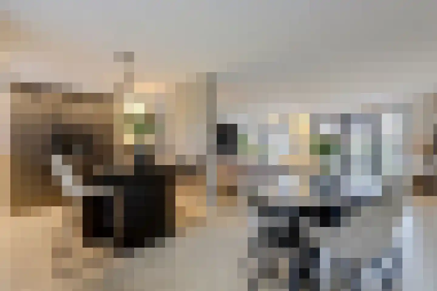 Antoniuslaan 33 Hendrik-Ido-Ambacht thumbnail 17