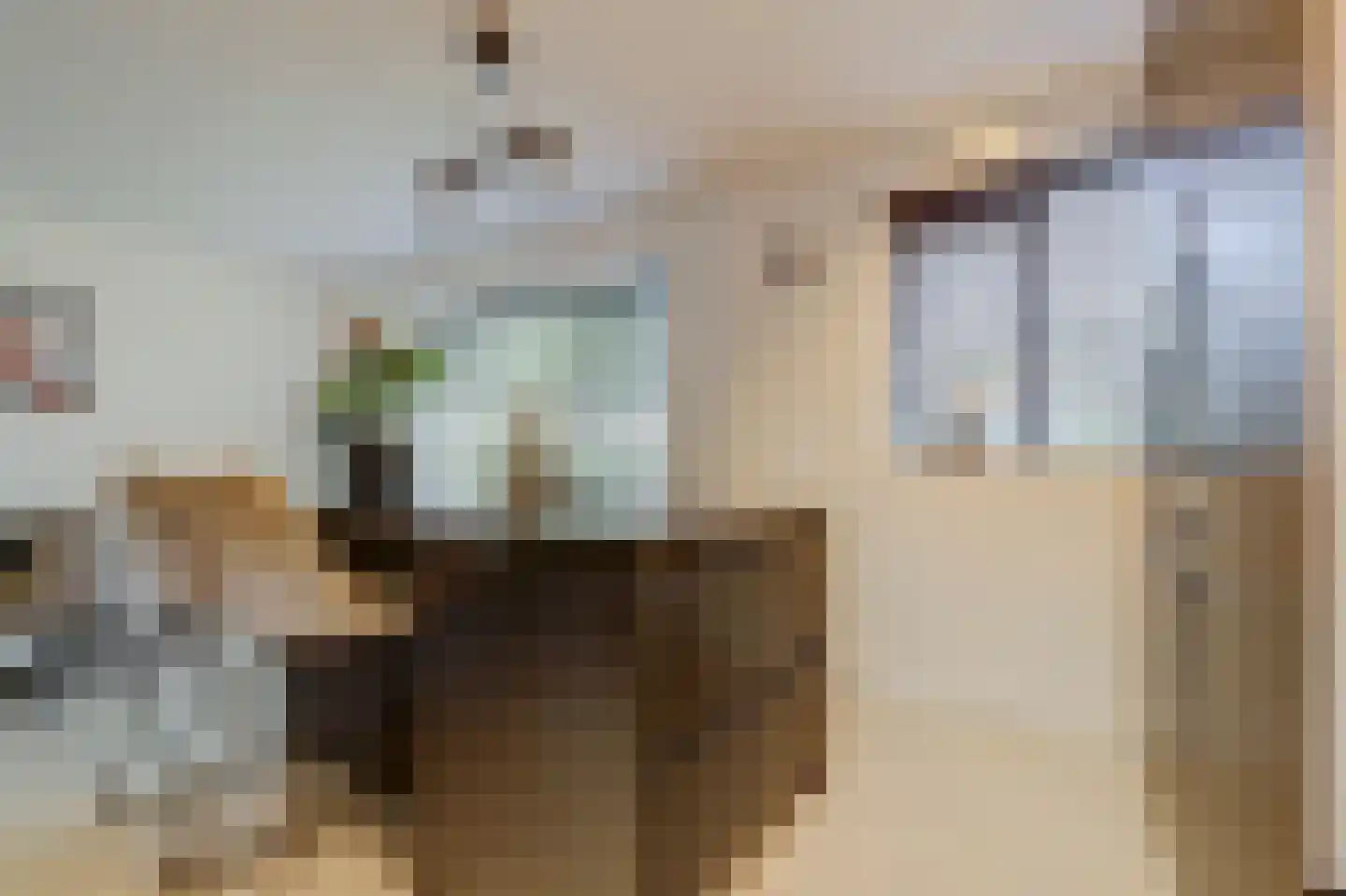 Antoniuslaan 33 Hendrik-Ido-Ambacht thumbnail 20