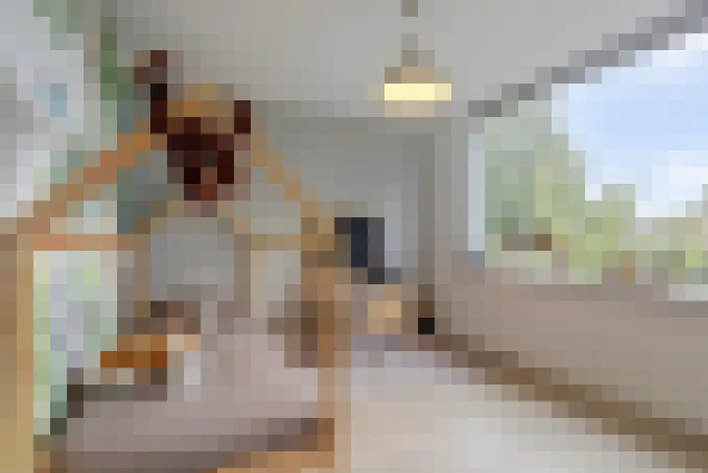 Antoniuslaan 33 Hendrik-Ido-Ambacht thumbnail 30
