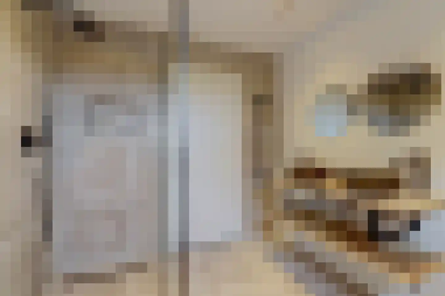 Antoniuslaan 33 Hendrik-Ido-Ambacht thumbnail 38