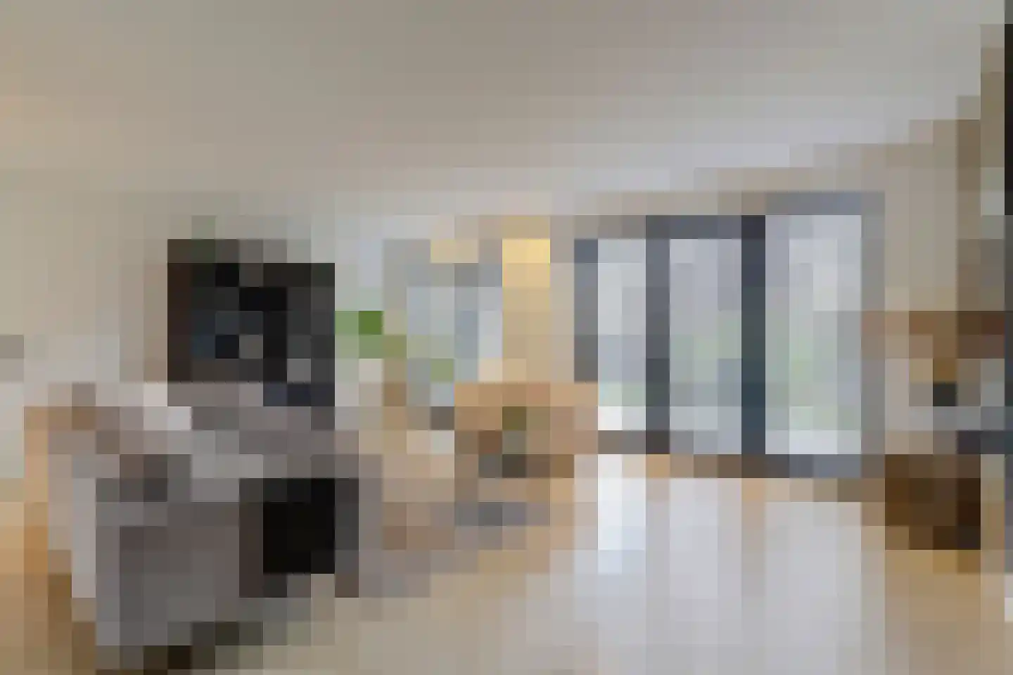 Antoniuslaan 33 Hendrik-Ido-Ambacht thumbnail 4