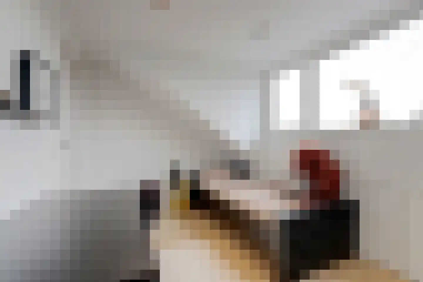 Antoniuslaan 33 Hendrik-Ido-Ambacht thumbnail 44