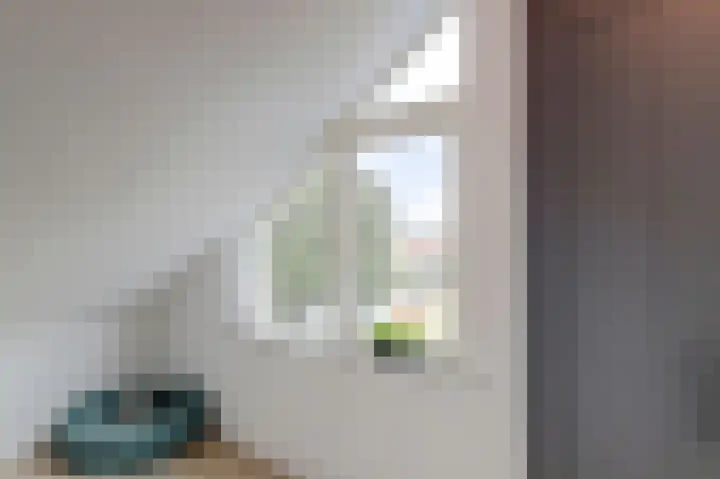 Antoniuslaan 33 Hendrik-Ido-Ambacht thumbnail 47