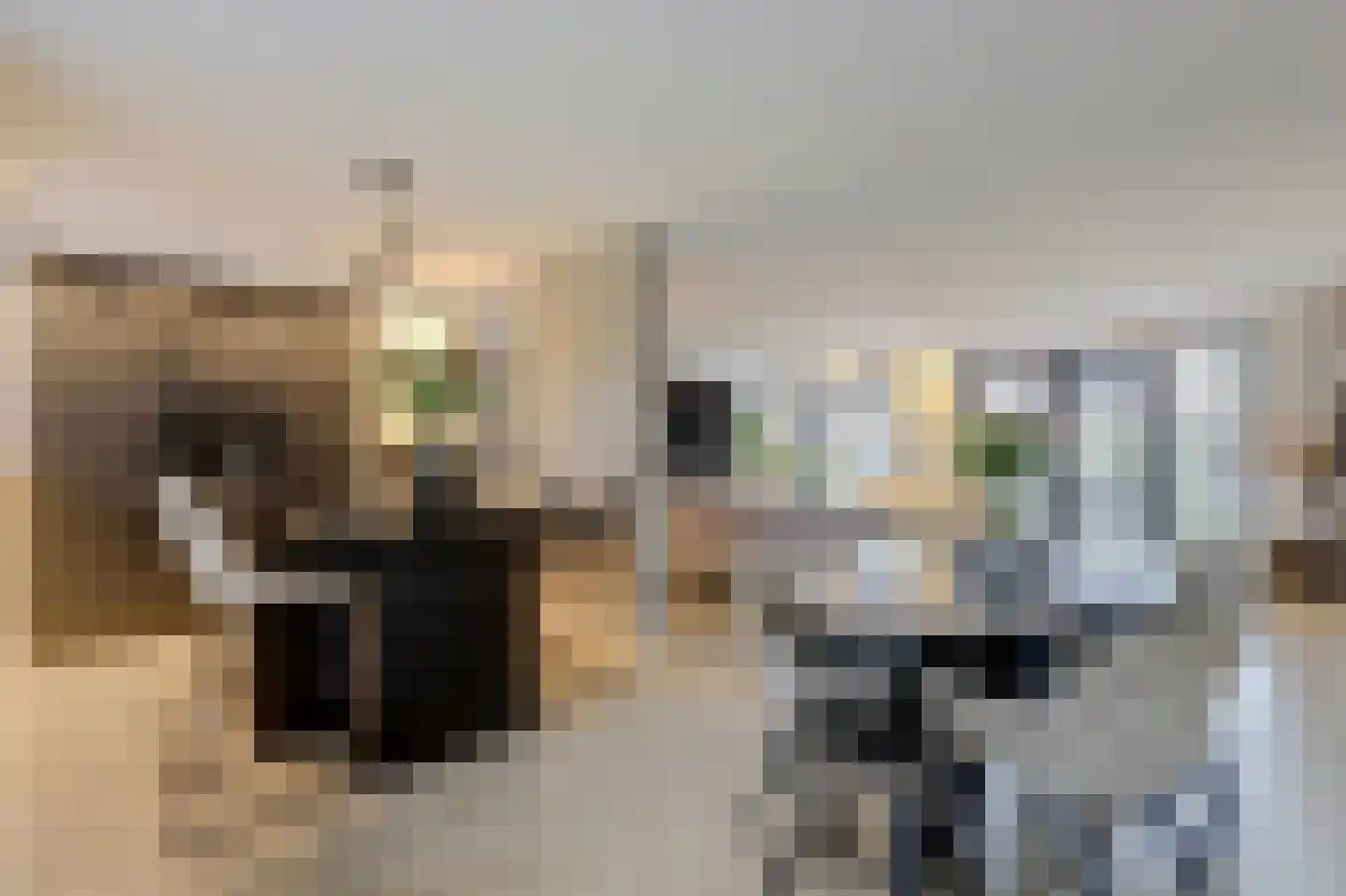 Antoniuslaan 33 Hendrik-Ido-Ambacht thumbnail 5