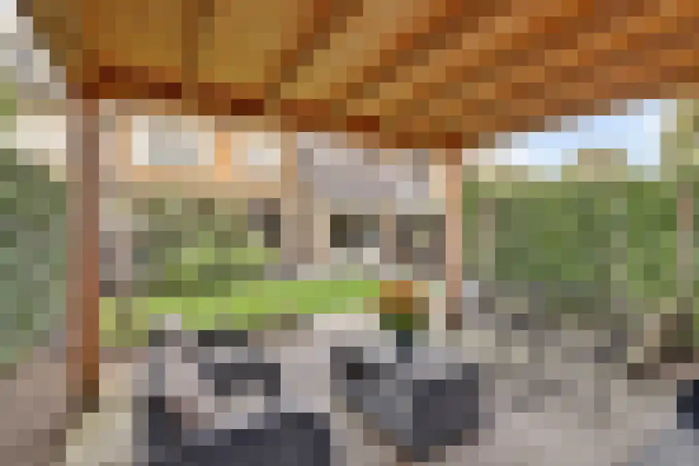 Antoniuslaan 33 Hendrik-Ido-Ambacht thumbnail 56
