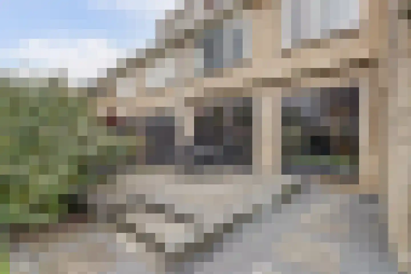 Antoniuslaan 33 Hendrik-Ido-Ambacht thumbnail 59