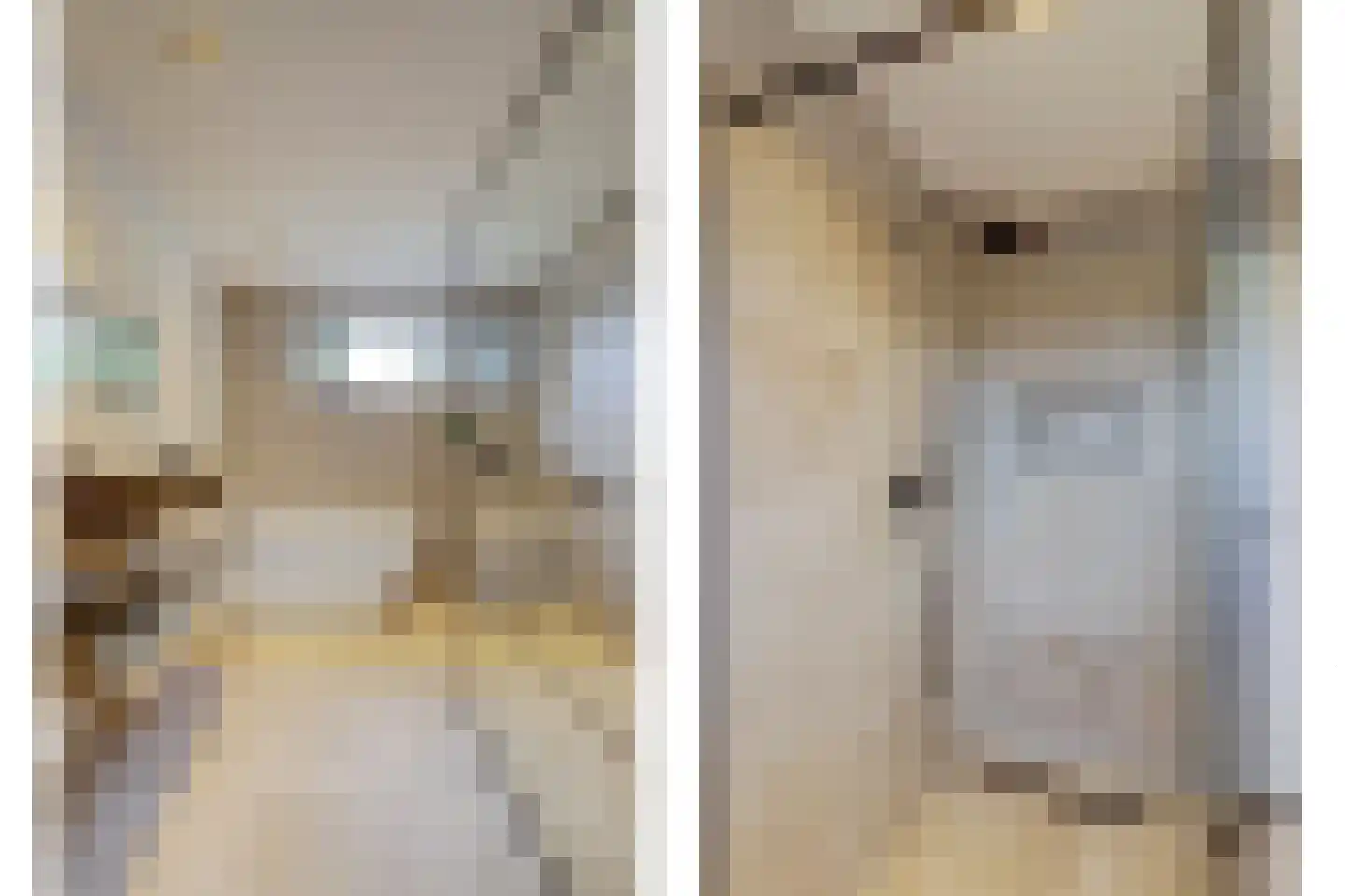 Antoniuslaan 33 Hendrik-Ido-Ambacht thumbnail 6