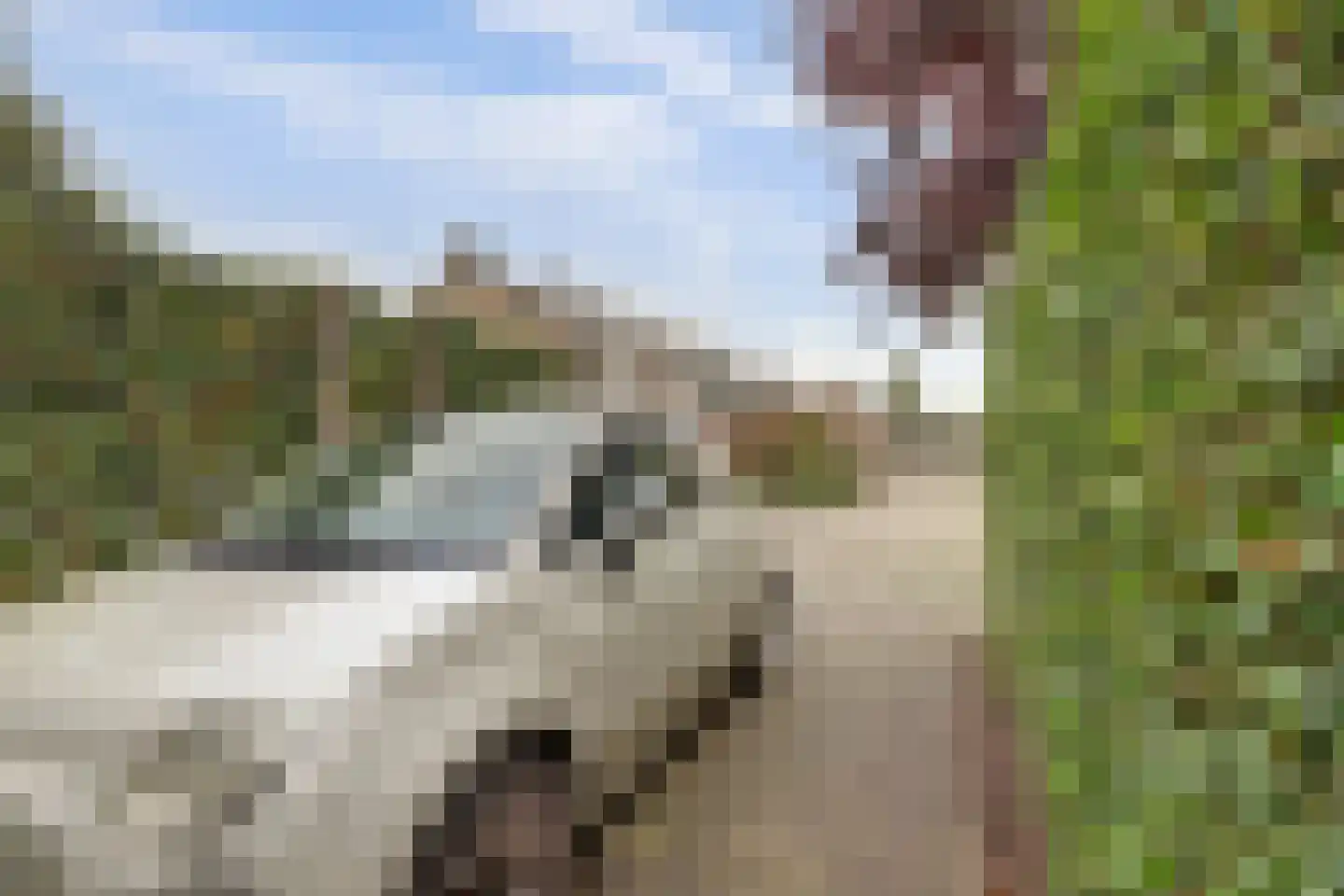 Antoniuslaan 33 Hendrik-Ido-Ambacht thumbnail 60