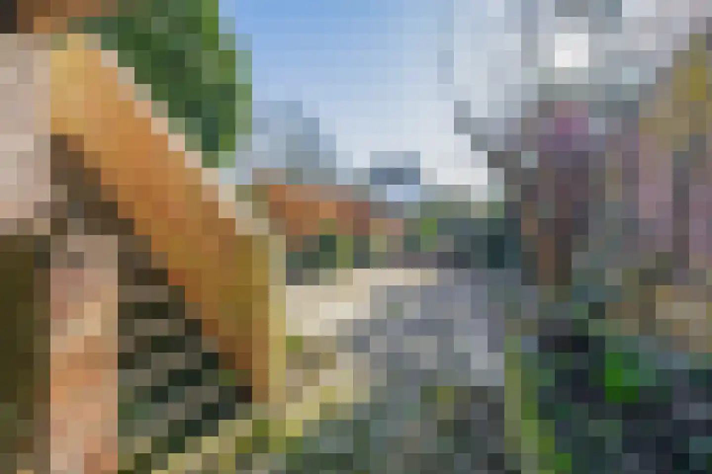 Antoniuslaan 33 Venlo thumbnail 24