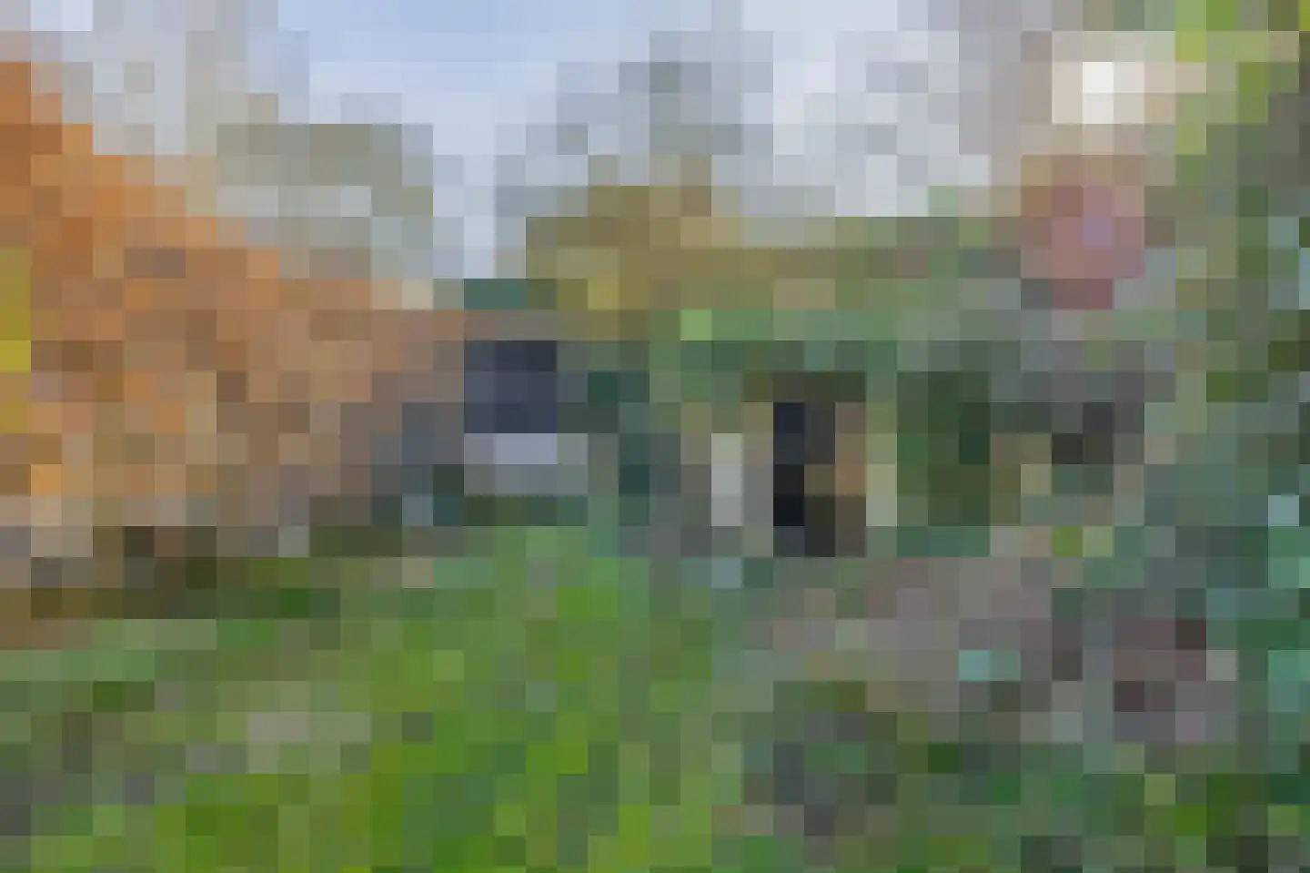 Antoniuslaan 33 Venlo thumbnail 29
