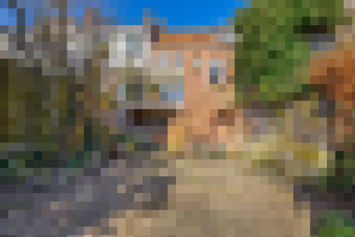 Antoniuslaan 33 Venlo thumbnail 31