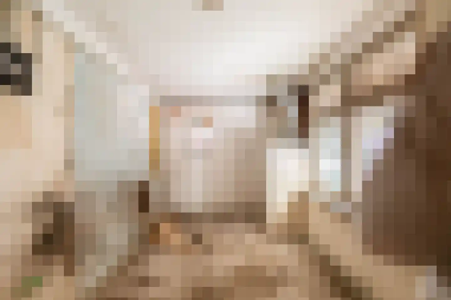 Antoniuslaan 33 Venlo thumbnail 35