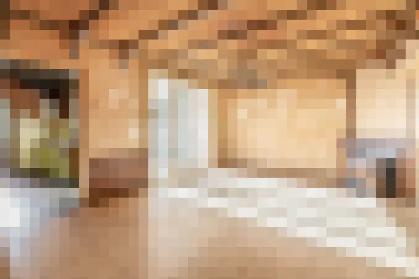 Antoniuslaan 33 Venlo thumbnail 5