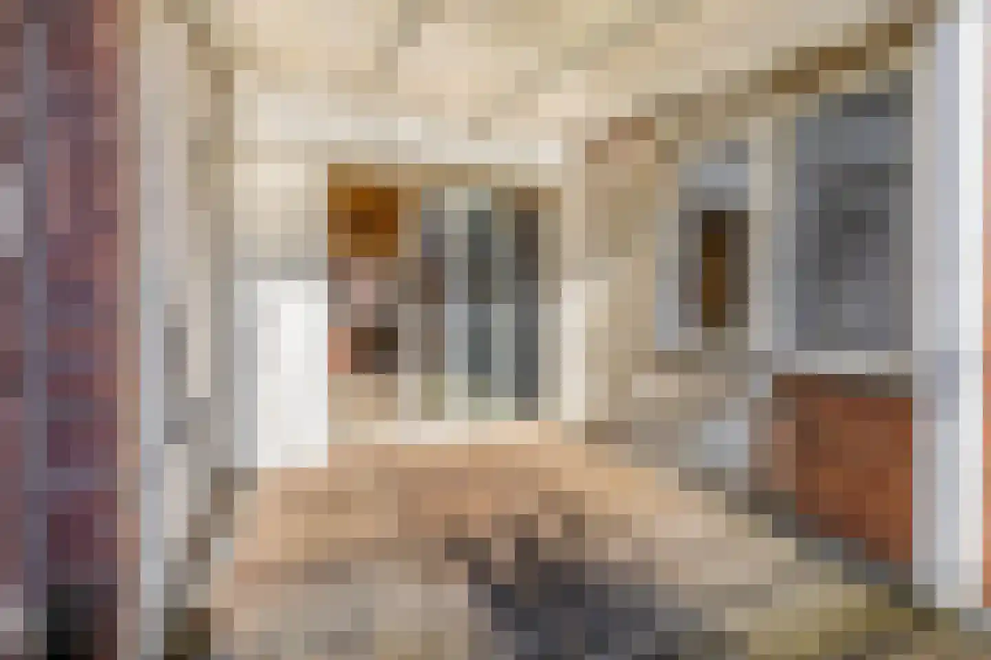 Antoniuslaan 33 Venlo thumbnail 7
