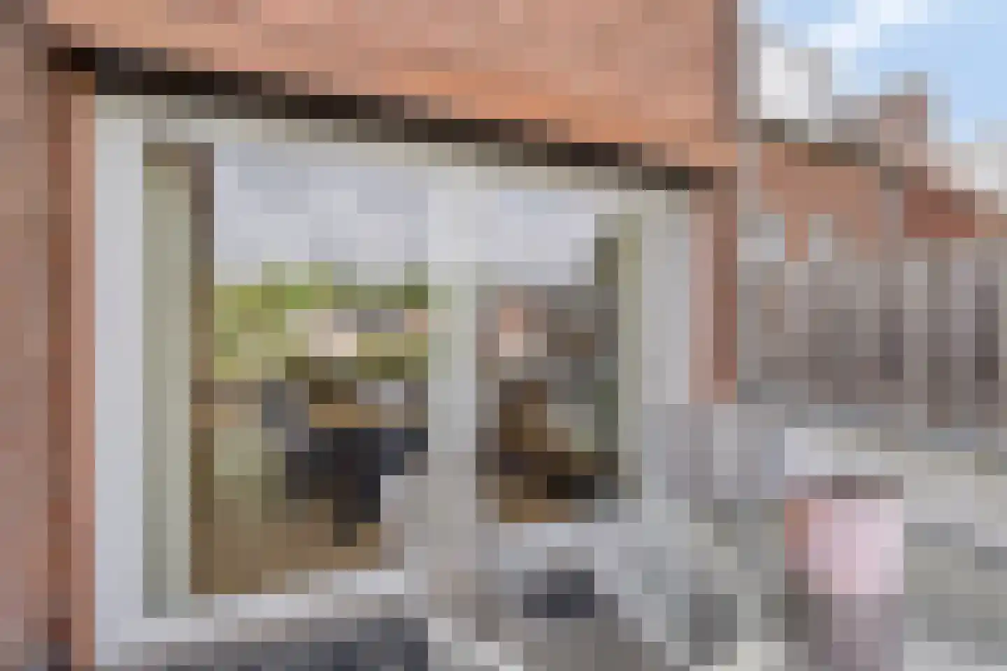 Antoniuslaan 36 Venlo thumbnail 21