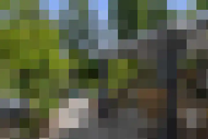 Antoniuslaan 39 Venlo thumbnail 24