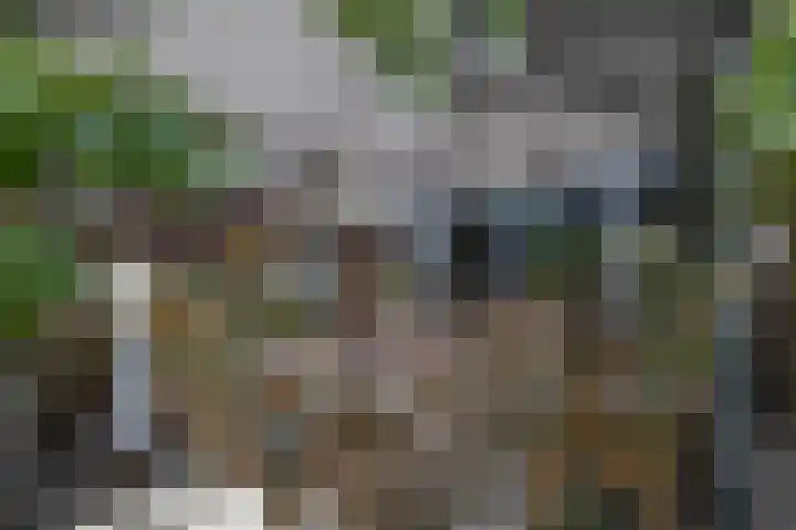 Antoniuslaan 39 Venlo thumbnail 25