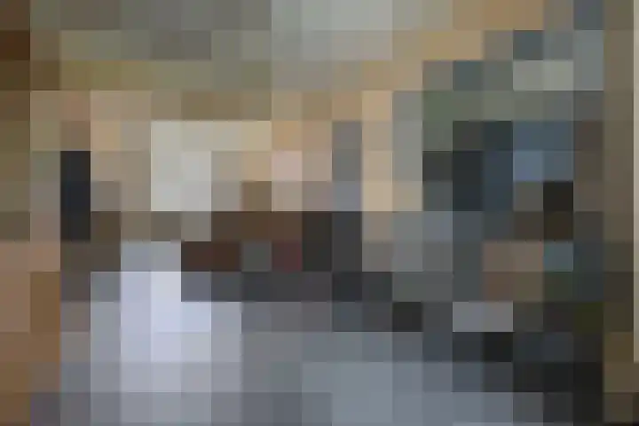 Antoniuslaan 39 Venlo thumbnail 7