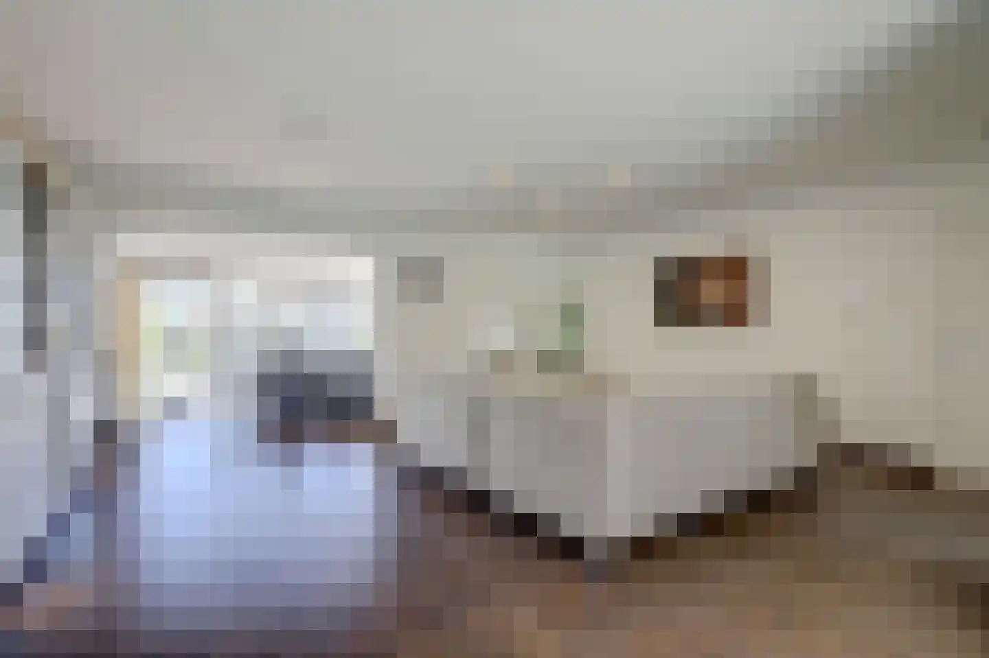 Antoniuslaan 43 Hendrik-Ido-Ambacht thumbnail 14