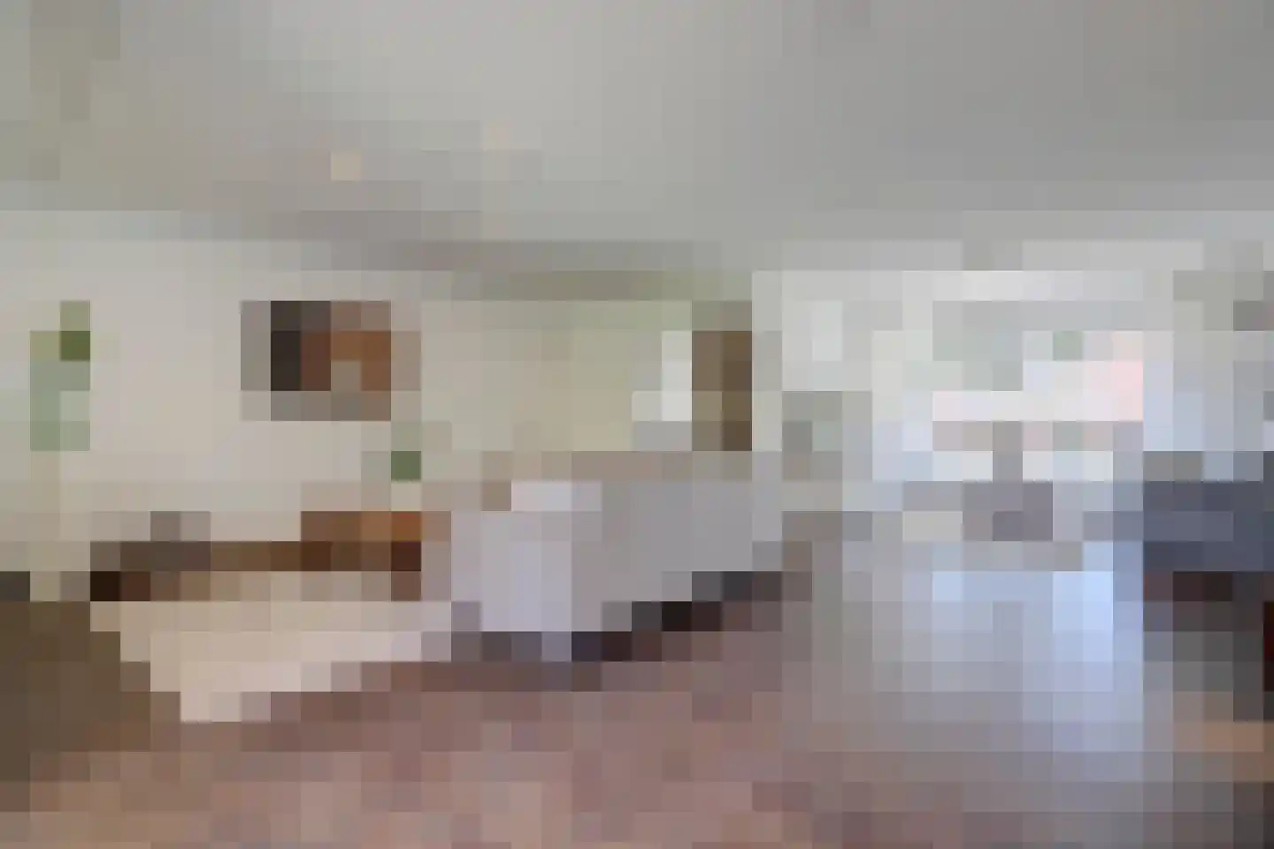 Antoniuslaan 43 Hendrik-Ido-Ambacht thumbnail 16