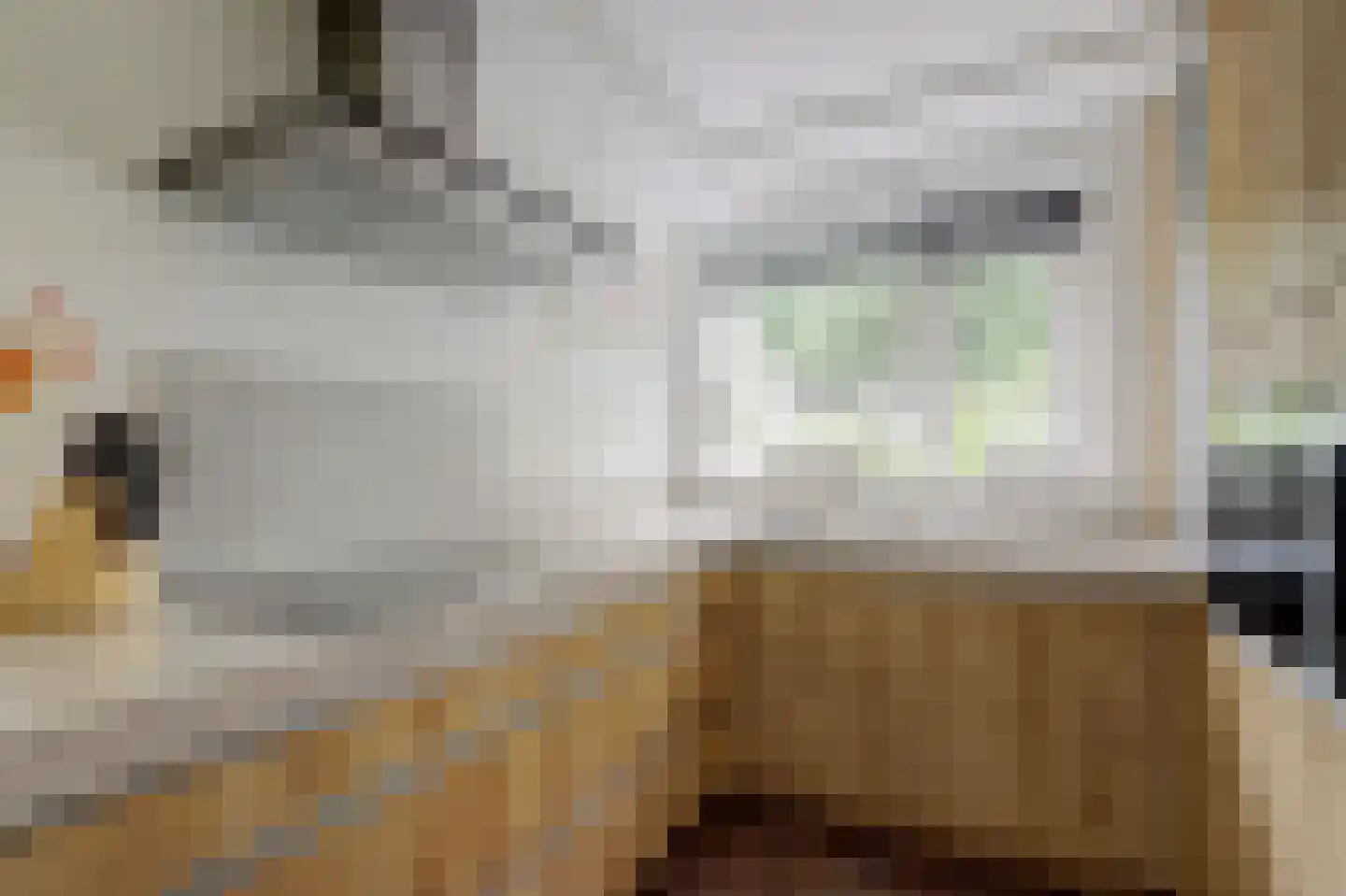 Antoniuslaan 43 Hendrik-Ido-Ambacht thumbnail 27