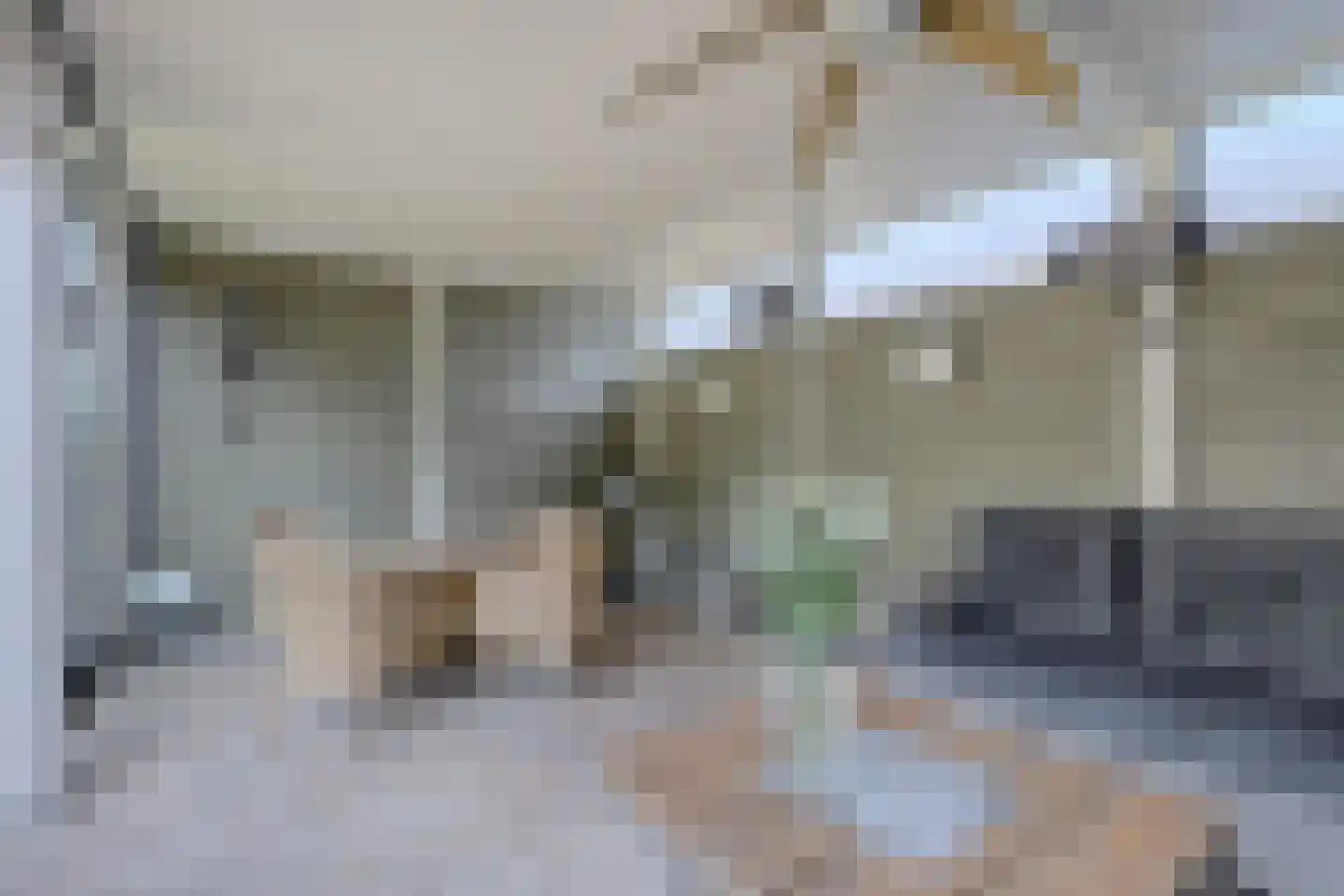 Antoniuslaan 43 Hendrik-Ido-Ambacht thumbnail 33