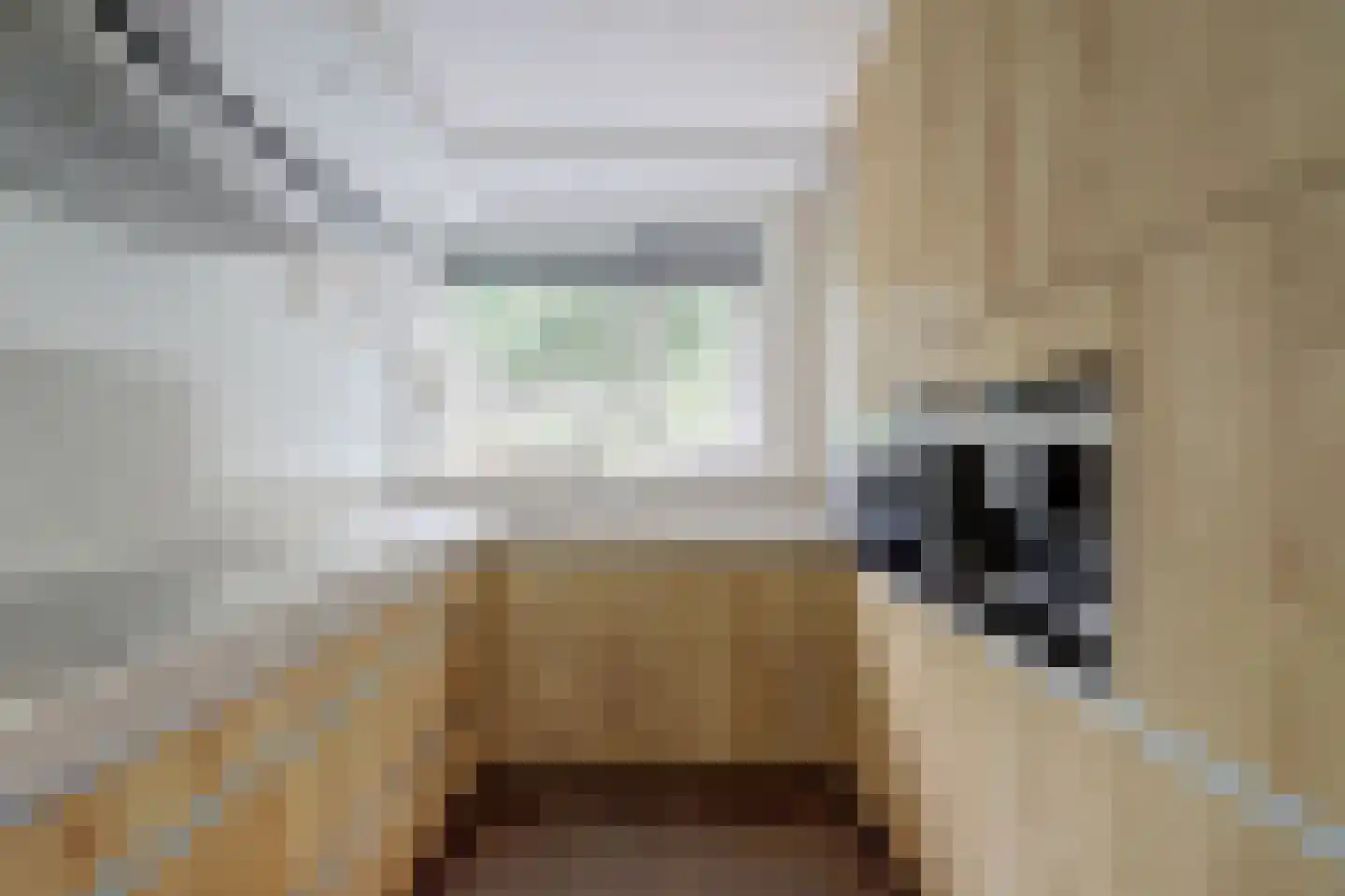 Antoniuslaan 43 Hendrik-Ido-Ambacht thumbnail 36